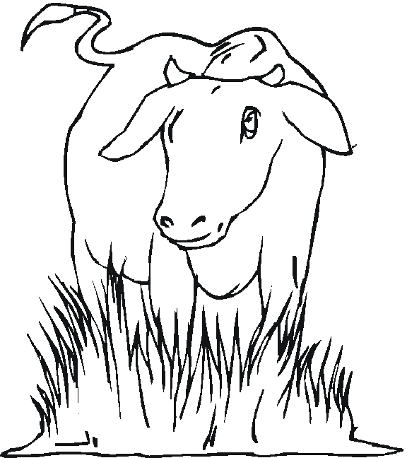 Coloriage Une Vache Dans Une Prairie - Animaux à imprimer