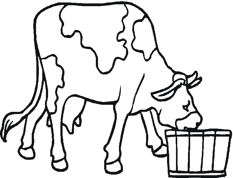 Coloriage Une Vache Qui Boit De L'Eau - Animaux à imprimer