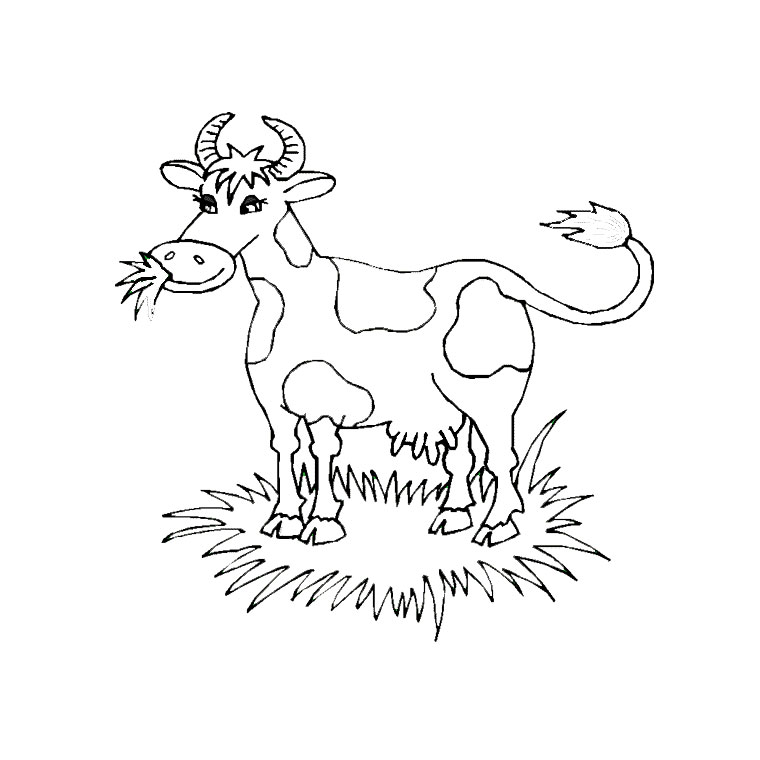 Coloriage Vache Yack - Animaux à imprimer
