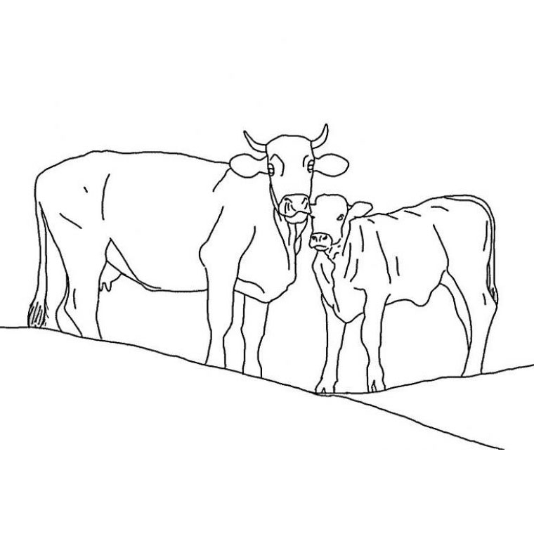 Coloriage Vaches - Animaux à imprimer