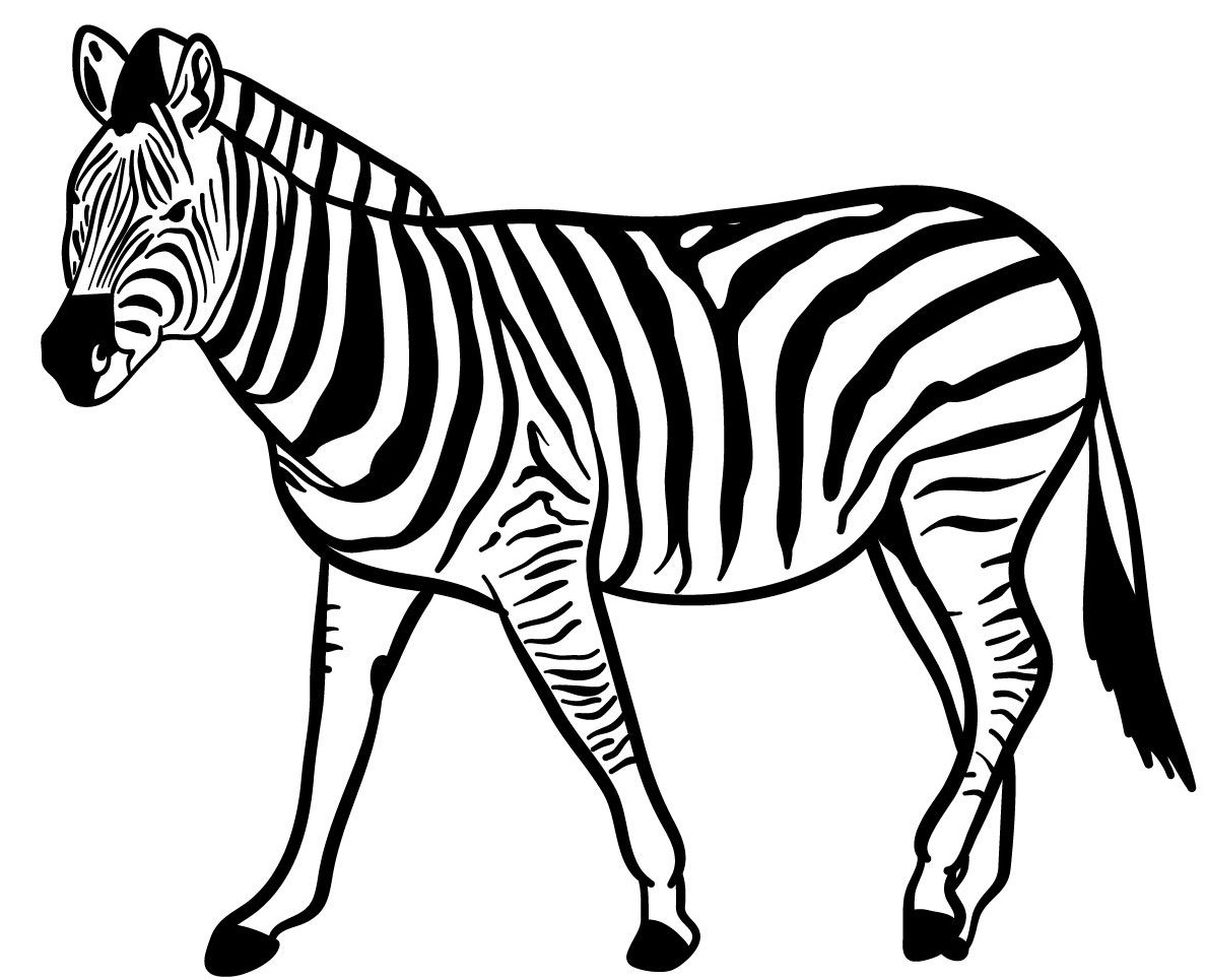 Coloriage Animaux sauvages