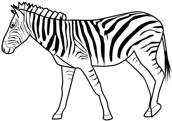 Coloriage Zèbre - Animaux à imprimer