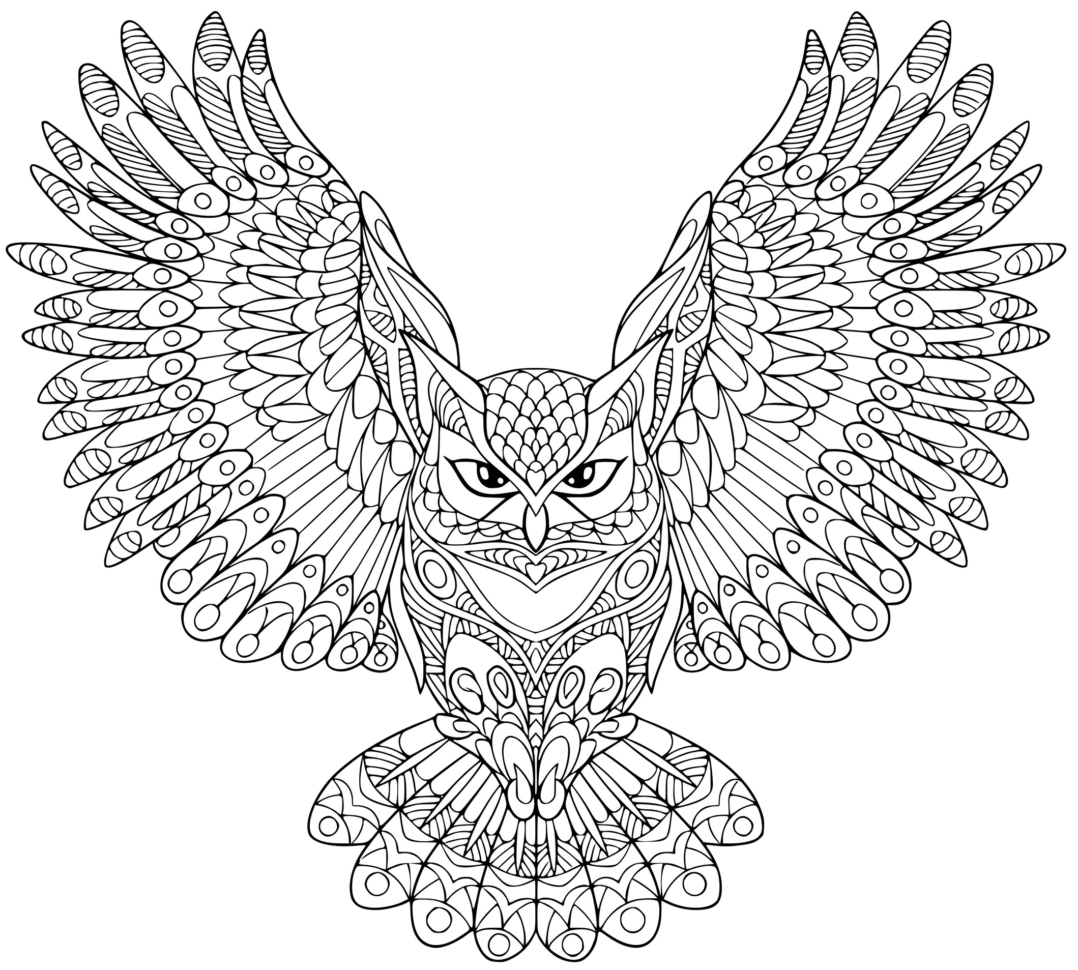 Coloriage Zentangle Aigle Hibou Halloween Adulte - Halloween à imprimer