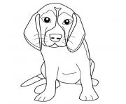Coloriage chien beagle
