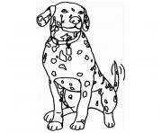 Coloriage chien dalmatien