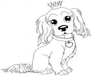 Coloriage chien king charles avec sa couronne