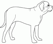 Coloriage dessin chien mastiff