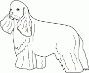 Coloriage dessin chien cocker