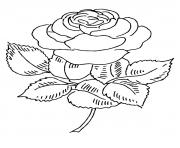 Coloriage roses 130