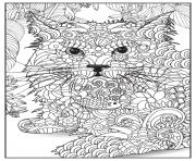 Coloriage chat lynx adulte animaux