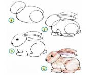 Coloriage comment dessiner un lapin etape par etape