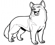 Coloriage chien husky