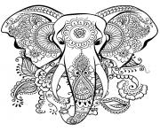 Coloriage elephant anti-stress adulte animaux