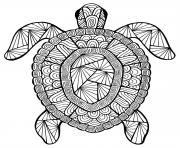 Coloriage tortue animaux adulte