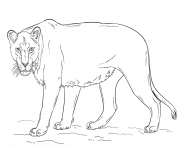 Coloriage lioness by Lena London