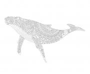 Coloriage baleine adulte ocean animal zentangle