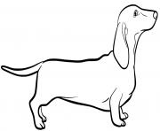 Coloriage Dachshund dog