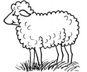 Coloriage mouton dans la nature maternelle